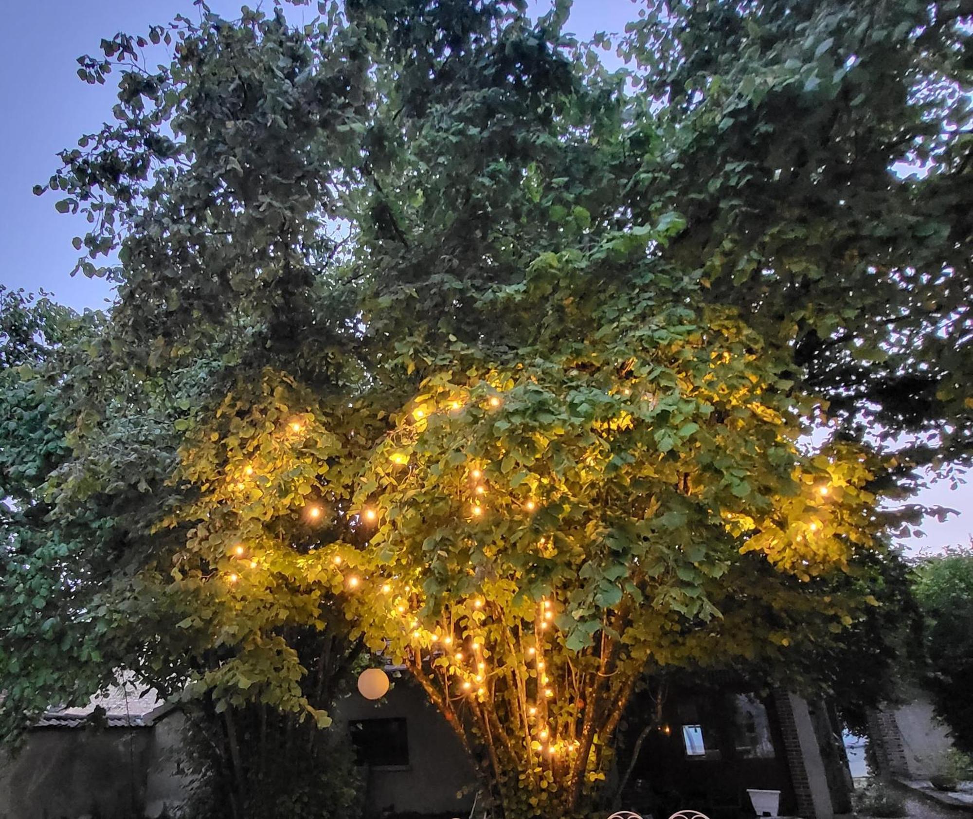 La Demeure D'Othe Bed & Breakfast Sormery Luaran gambar